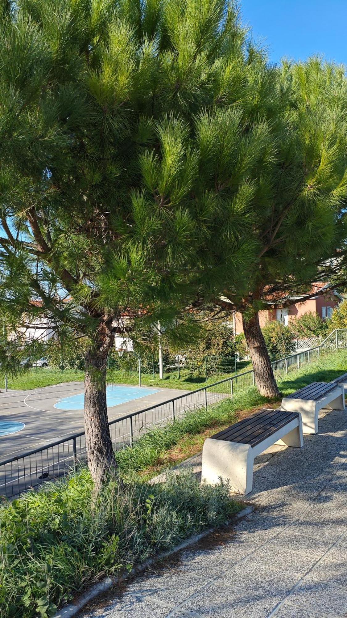 Apartments Tomisic Копер Экстерьер фото